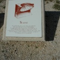 La Nef Solaire