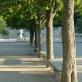 Allées