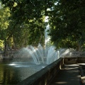 Jet d'eau