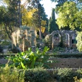 Le Jardin des Plantes à Montpellier