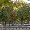Feuillages (1595 visites) Jardin de la Fontaine à Nîmes Feuillages