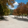 Allée Ouest (1601 visites) Jardin de la Fontaine à Nîmes Allée Ouest