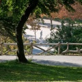 Vue plongeante sur Flore (1685 visites) Jardin de la Fontaine à Nîmes Vue plongeante sur Flore