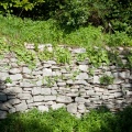 Mur de pierres aux nombrils de Vénus