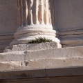 Maison carrée ( détail ) (1816 visites) Maison carrée ( détail )