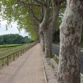 Chemin à Remoulins