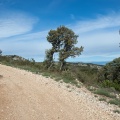 Chemin de la Côte des Bois