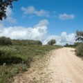 Chemin du Pélican