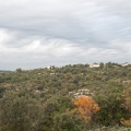 Les garrigues