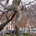 Faune dansant