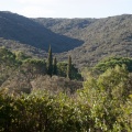 Paysage au Pont du Gard