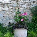 Décoration