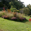 Massif floral