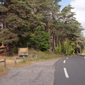 Forêt des Gardons