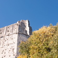 Tour magne
