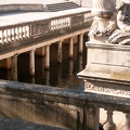 Nymphée