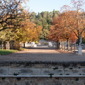 Feuillages d'automne