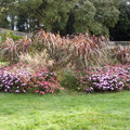 Massif floral