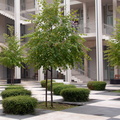 Site Universitaire HOCHE