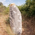 Menhir de Courbessac (5138 visites) Chemin de l'Aérodrome à Nîmes Menhir de Courbessac
