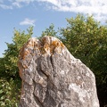 Menhir de Courbessac (4979 visites) Chemin de l'Aérodrome à Nîmes Menhir de Courbessac
