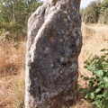 Menhir de Courbessac (5148 visites) Chemin de l'Aérodrome à Nîmes Menhir de Courbessac