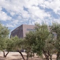 Paloma (2811 visites) Chemin de l'Aérodrome à Nîmes Paloma