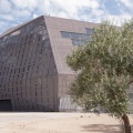 Paloma (2278 visites) Chemin de l'Aérodrome à Nîmes Paloma