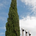 Cyprès et cornes