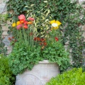 Vase de fleurs