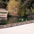 La source