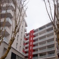 Immeubles neufs et vieux platanes