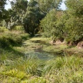Le ruisseau d'Arlinde