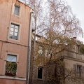 Les 3 bouleaux