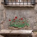 Fleurs de rue
