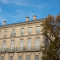 Immeuble et platane