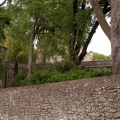 Mur, micocouliers, tour et château
