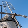 Les ailes au repos