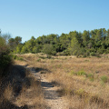 Chemin aux Terres de Rouvière