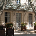 Marquise et platanes