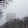Début d'année dans le brouillard