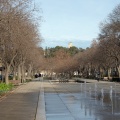 Vers les jardins de la Fontaine