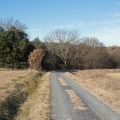 Paysage d'hiver