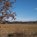 Paysage d'hiver sur le Piémont Cévenol