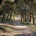 Chemin couvert