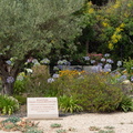 Rond-point souvenir fleuri