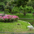 Au Parc des Cordeliers