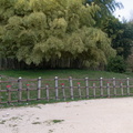 La barrière aux fleurs de Camélia