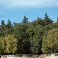 Les feuilles jaunissent
