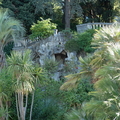 Palmiers à la grotte